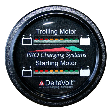 Dual Pro Battery Fuel Gauge For 1 - 24v, 1 -12v  Systems