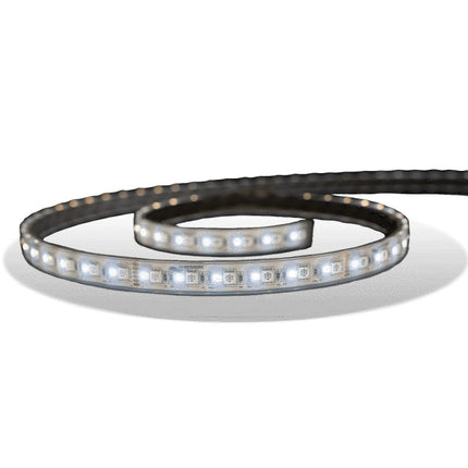 Lumishore LUX SL180 CRGBW Strip Light Cut-Seal 5000mm